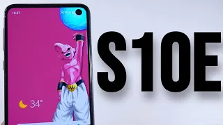 Samsung Galaxy S10e In 2024!