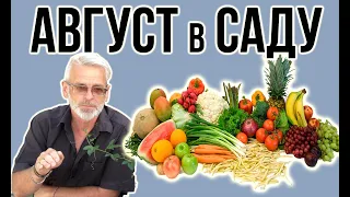 Садовые работы в АВГУСТЕ / Не забыть сделать в саду / Игорь Билевич