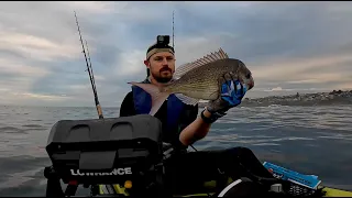 Shallow water Sydney snapper and bream on soft plastic lures from a kayak - Bugsy Fishing Ep 8