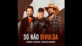 Fernando e Sorocaba, Tarcísio do Acordeon - Só Não Divulga (2021)