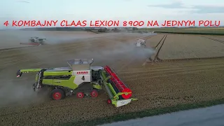 Żniwa pszeniczne 2023 |4x CLAAS LEXION 8900| BIG HARVEST IN POLAND| Kombinat Rolny Kietrz Cz.1