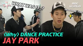 [C.C.] Exhausted JAY PARK's ⟪Why⟫ dance practice #JAYPARK