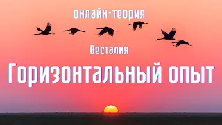 Зачем нужен горизонтальный опыт #опыт #родоваяматрица #Весталия #школаСорадение