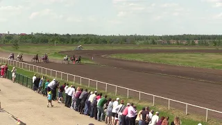 2023.05.28 6й заезд Весенний приз Жер. орловской породы старшего возр. 1600м. Воронежский ипподром