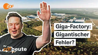 Was wird aus der Tesla-Fabrik in Brandenburg? Reportage über Elon Musks Giga-Factory