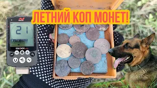 Коп монет и кладов летом,в поисках старины,поиск монет,поиск монет с металлоискателем Equinox 800