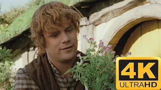 Concerning Hobbit | The Lord Of The Rings: The Fellowship Of The Ring 4K HDR!