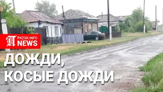 На севере Казахстана идёт долгожданный дождь
