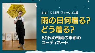 【60代一人暮らし】私流雨の日アイテムの選び方／お勧め夏の下着／長〜くなる猫