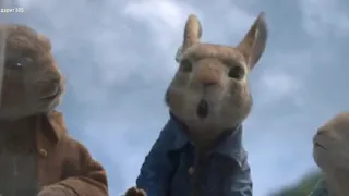 Смешной момент из "Кролик Питер"