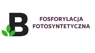 fosforylacja FOTOSYNTETYCZNA [ fosforylacja i defosforylacja ] - KOREPETYCJE z BIOLOGII - 71