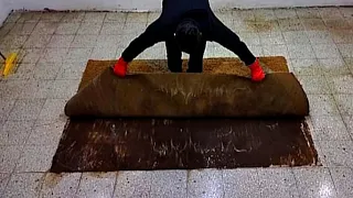 Flooded house - Dirtiest carpet cleaning satisfying rug cleaning ASMR