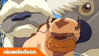 Avatar: The Last Airbender | Appa si Bison Terbang | Nickelodeon Bahasa