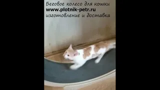 Беговое колесо для кошек, колесо открытого типа