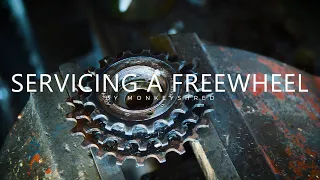 How To Service A Bicycle Freewheel - Strip Down / Clean / Assembly Of Vintage Freewheel