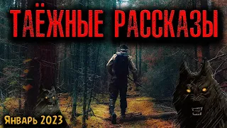 ТАЁЖНЫЕ РАССКАЗЫ | Страшные истории