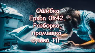 Ошибка Epson 0x42. Разборка, промывка, сушка ПГ.