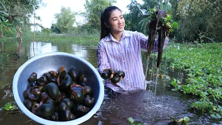 It has a lot of snail in my village lake, I catch them for cooking / Cooking with Sreypov