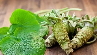 Japanese Horseradish: True Facts About Wasabi - Its Health Benefits, Nutrition Value & Side Effects