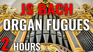 🎵 20 ORGAN FUGUES by JS BACH | 18 Organs & 11 Organists (Bach Organ Music)