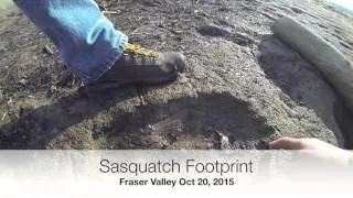 Harrison Sasquatch Footprint?