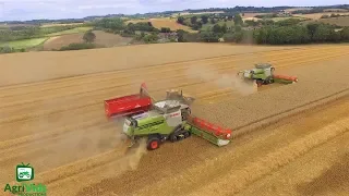 Hopkins Agriculture Wheat Harvest 2018 2x Claas Lexions 780TT