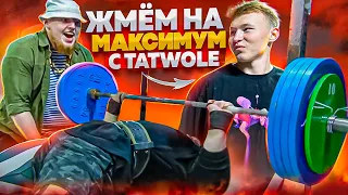 СКОЛЬКО ЖМЁТ TATWOLE НА САМОМ ДЕЛЕ?