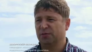 ЗОЛОТОЕ ДНО ОХОТСКОГО МОРЯ   документальный фильм