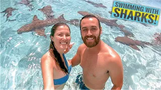 SWIMMING WITH SHARKS 🦈 Snorkeling Wreck & Sailing Travel Vlog Ep. 21