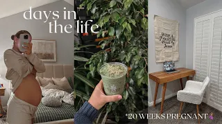 DAYS IN THE LIFE: announcing pregnancy, catching up, plant nursery, new desk, etc!