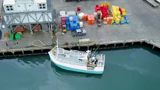 Newlyn Harbour, Cornwall - Mavic Pro Drone, Time-lapse and Wildlife