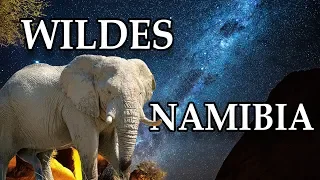 WILD NAMIBIA - Desert, Ocean, Animal film 4k | English SUBTITLE