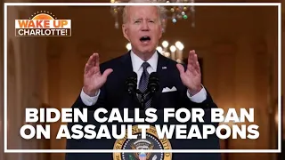 Biden appeals for tougher gun laws: 'How much more carnage?'