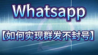 【ws群发不封号】教你一分钟学会#whatsapp #whatsappstatusvideos  #whatsappvideo