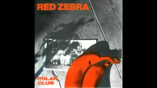 Red Zebra - Polar Club (1983) Post Punk - Belgium