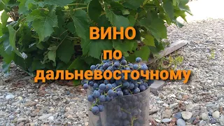 как делают вино на дальнем востоке