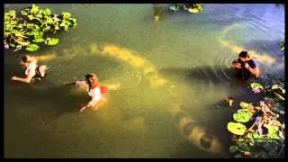 Anacondas: The Hunt for the Blood Orchid 2004 Movie Trailer