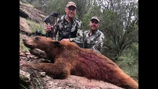 Arizona Bow Hunt for Bear Denton 2018