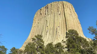 #902 Now THAT is a TREE STUMP! Devils Tower National Monument