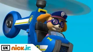 Paw Patrol | Pups Save the Royal Kitties  | Nick Jr. UK