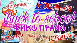 НОВИНКИ канцелярии в ФИКС ПРАЙС! +Мои покупки 📎 Бэк ту скул 📍 Back to school 2021 📒