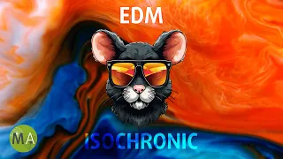 Peak Focus For Complex Tasks EDM Mouse Mix with Isochronic Tones