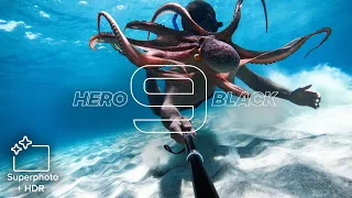 GoPro: HERO9 Black | 20MP Photos