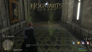 Hogwarts Legacy EP 8: Stinky Halls