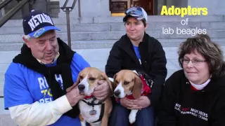 Support the Illinois Beagle Freedom Bill!