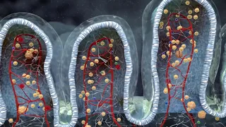 Quels sont les différents types de maladies parasitaires