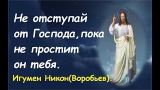 Не отступай от Господа, пока не прости он тебя. Игумен Никон(Воробьев).