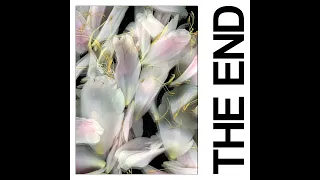 IDLES - THE END (Official Audio)