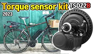 TSDZ2B New Cheap Electric Bike Torque Sensor Central Drive Motor Kit Tongsheng 2023 Reviews