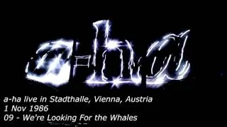 09   We're Looking For the Whales - a-ha - Live in Stadthalle, Wien, Austria 1986